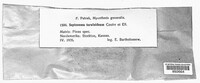 Image Associated With the Occurence